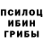 Галлюциногенные грибы Psilocybine cubensis Igor Skinner