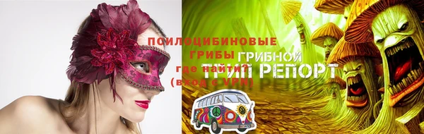 PSILOCYBIN Абаза