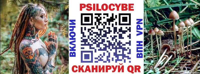 Галлюциногенные грибы GOLDEN TEACHER  блэк спрут зеркало  Ладушкин  магазин   