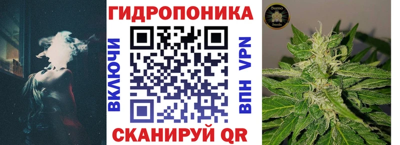 Конопля индика  как найти   Ладушкин 